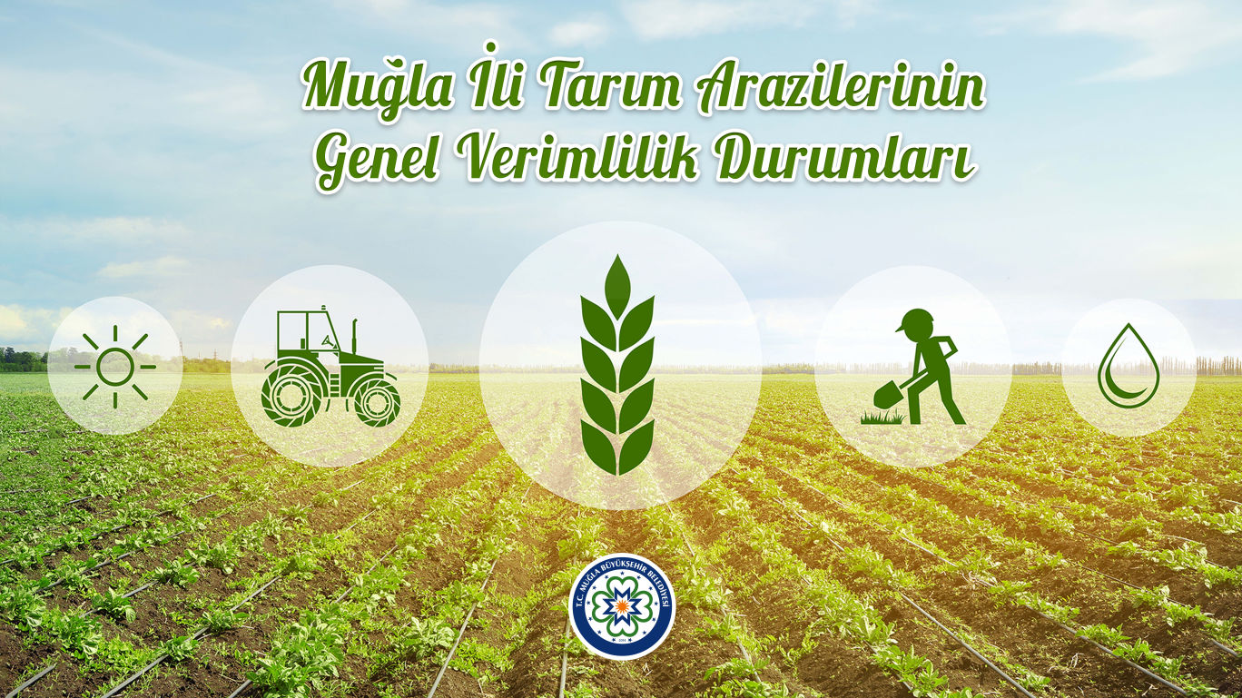 Muğla Büyükşehir Belediyesi